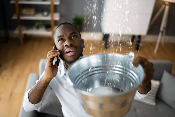 Best Water damage contractors near me  in Wormleysburg, PA
