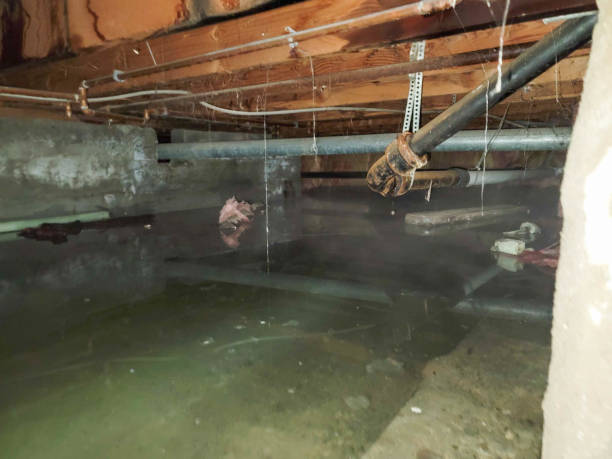 Best Water damage restoration specialists  in Wormleysburg, PA