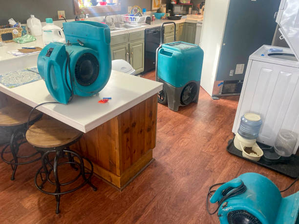 Best Sewage cleanup and water damage restoration  in Wormleysburg, PA