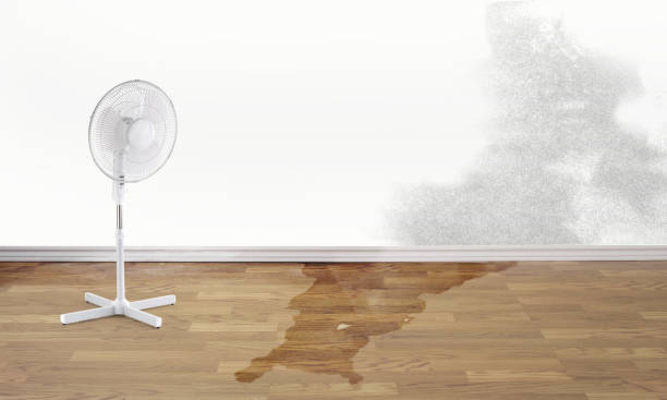 Best Flooded house restoration  in Wormleysburg, PA