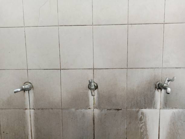 Best Mold removal after water damage  in Wormleysburg, PA
