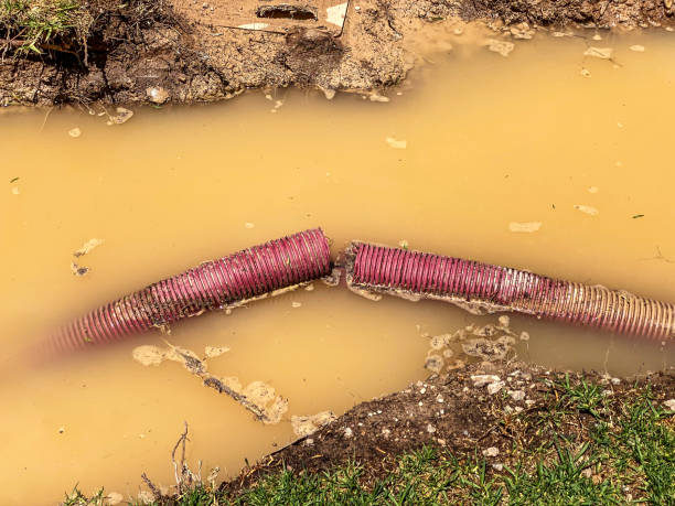 Best Commercial water damage restoration  in Wormleysburg, PA