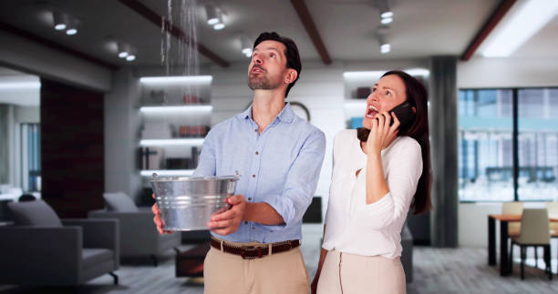 Best Fire Damage Restoration  in Wormleysburg, PA