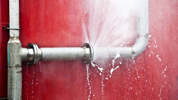 Best Professional water damage repair  in Wormleysburg, PA